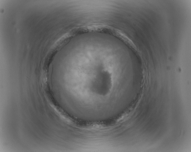 X0000079320593200612081936