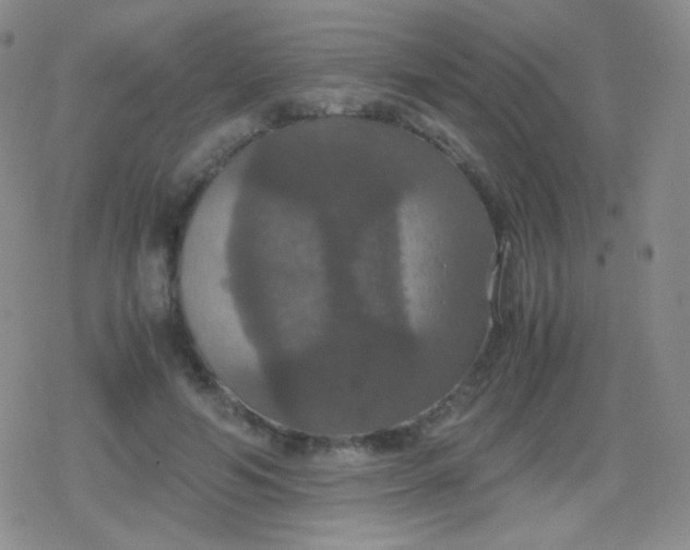 X0000079320594200612081936