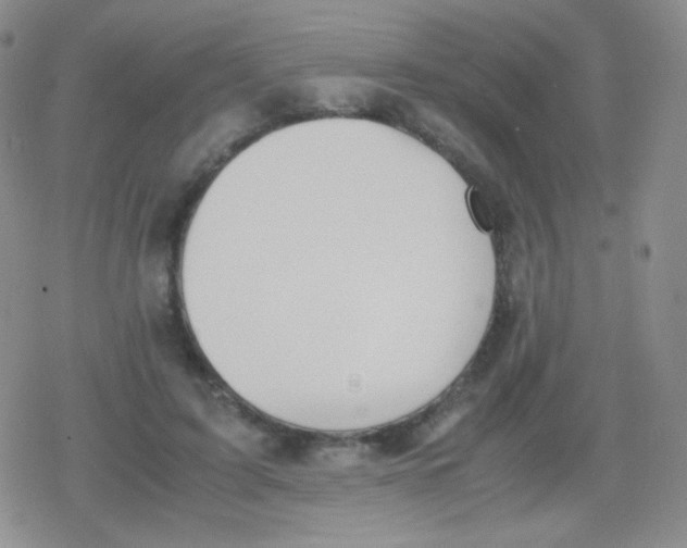 X0000079320595200612081936