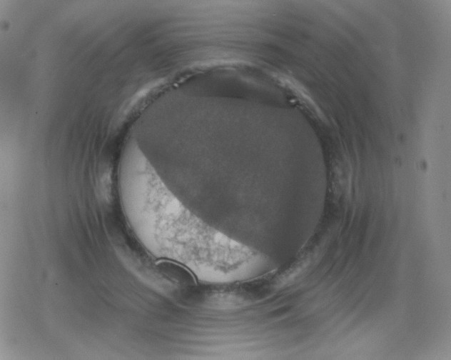 X0000079320596200612081936