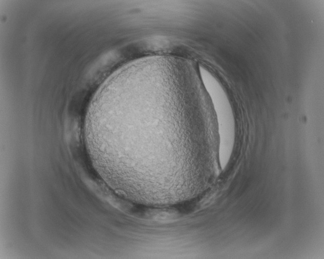 X0000079320597200612081936