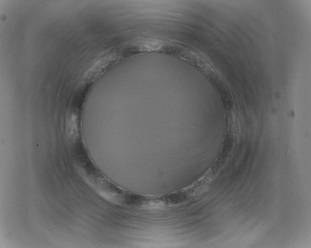 X0000079320598200612081936