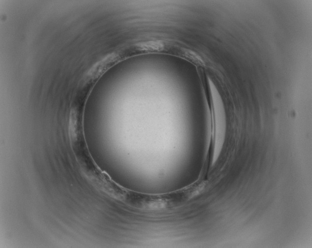 X0000079320600200612081936