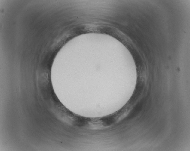 X0000079320603200612081936