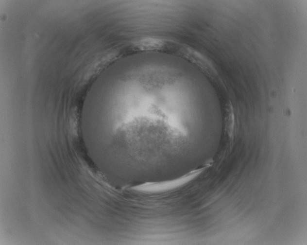 X0000079320604200612081936