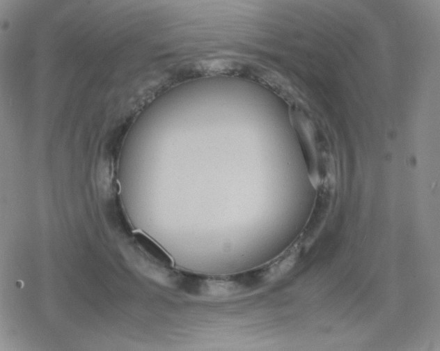 X0000079320605200612081936