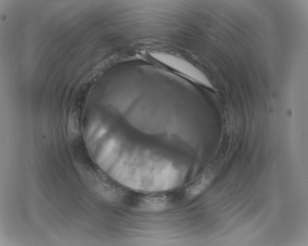 X0000079320606200612081936