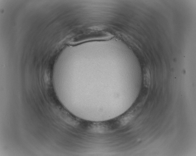 X0000079320608200612081936