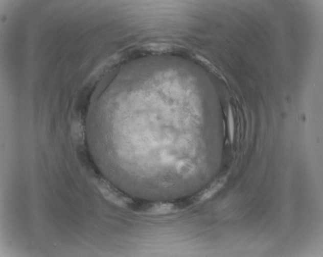 X0000079320609200612081936