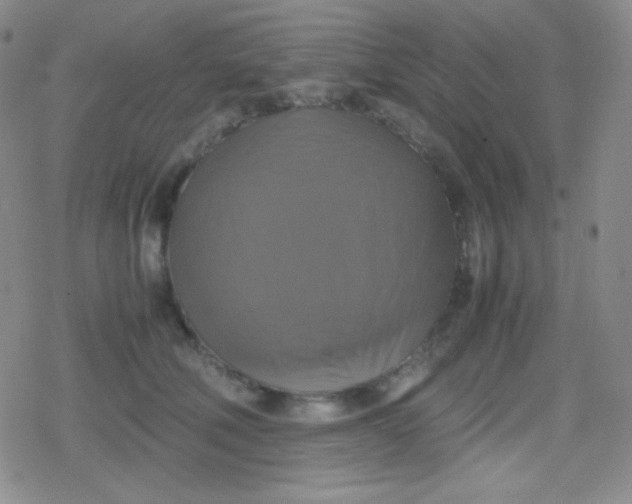 X0000079320610200612081936