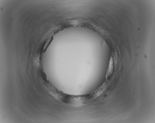 X0000079320611200612081936