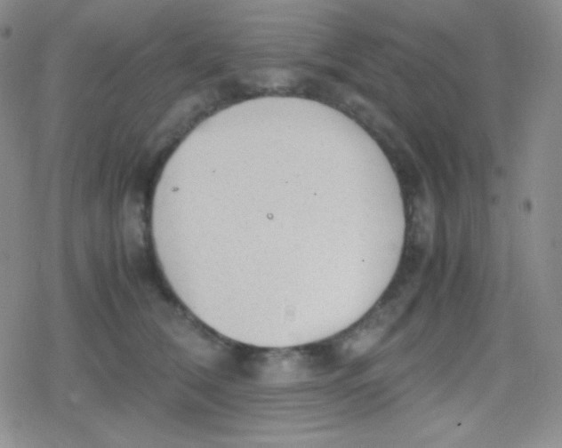 X0000079320612200612081936