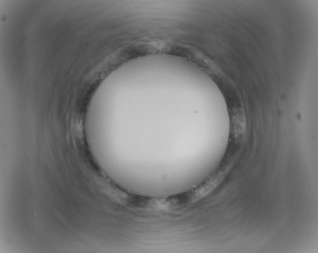 X0000079320613200612081936