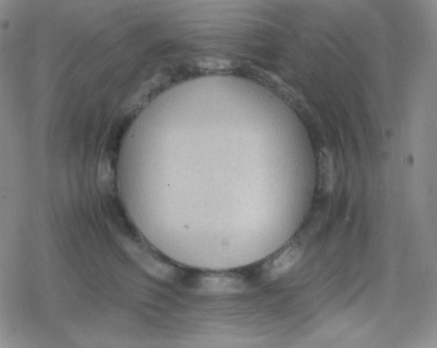 X0000079320614200612081936