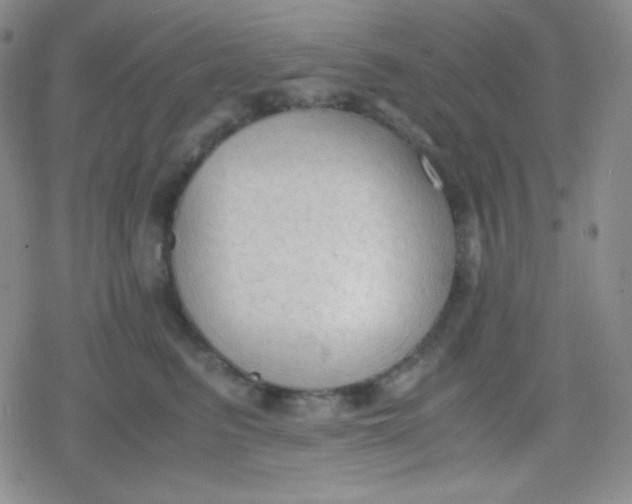 X0000079320615200612081936