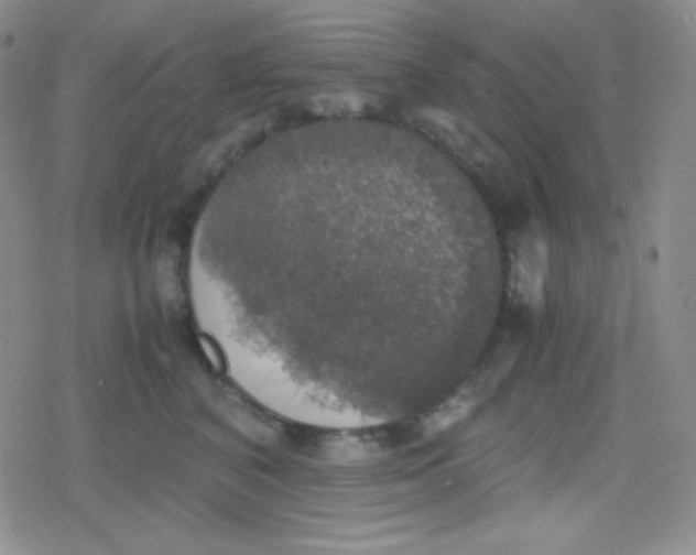 X0000079320616200612081936