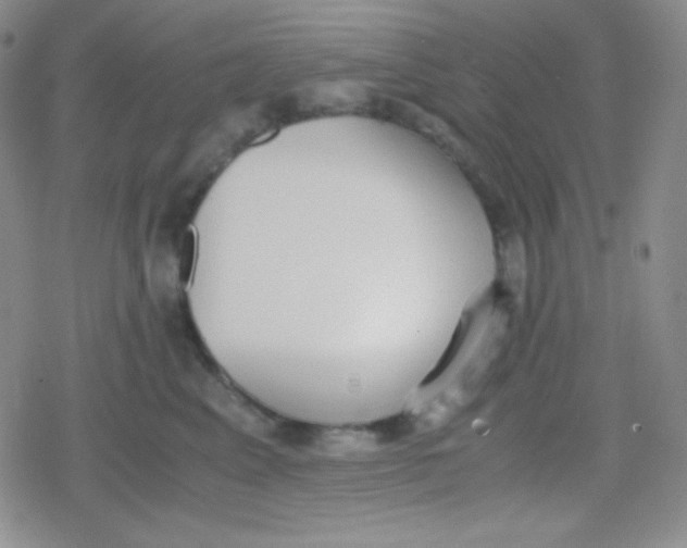 X0000079320617200612081936