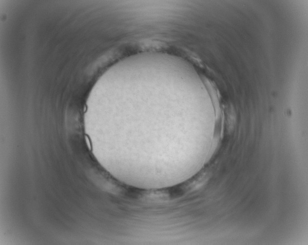 X0000079320619200612081936