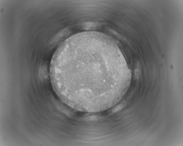 X0000079320620200612081936