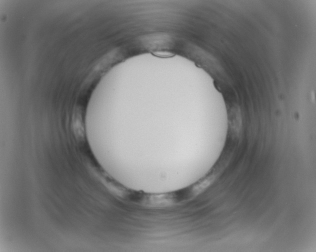 X0000079320622200612081936