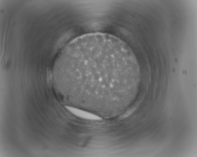 X0000079320624200612081936