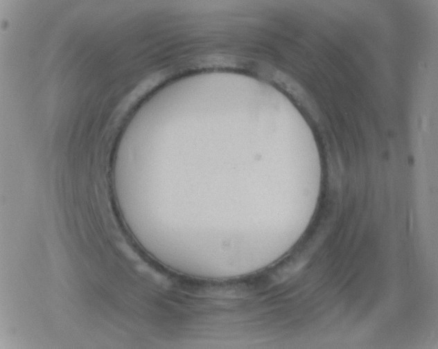 X0000079320625200612081935