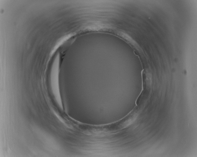 X0000079320626200612081935