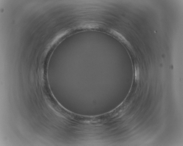 X0000079320627200612081935