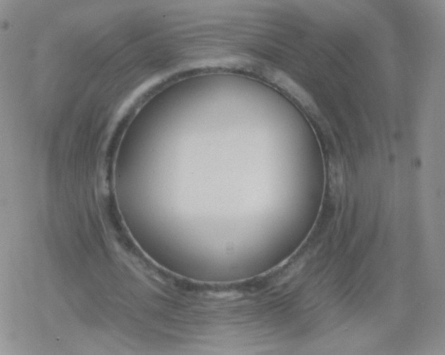 X0000079320628200612081935