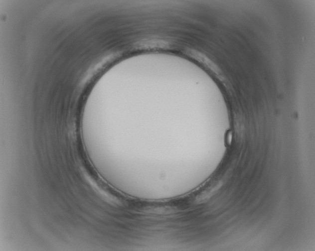 X0000079320629200612081935