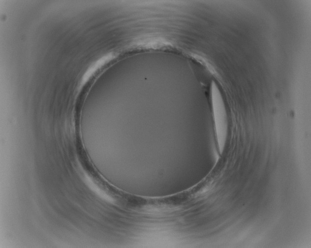 X0000079320630200612081935