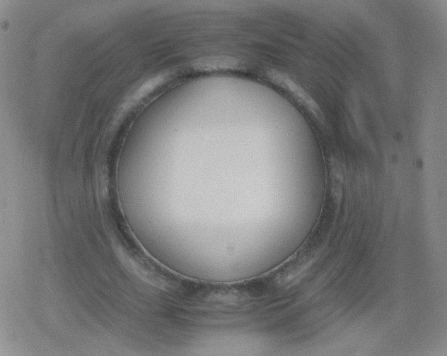 X0000079320631200612081935