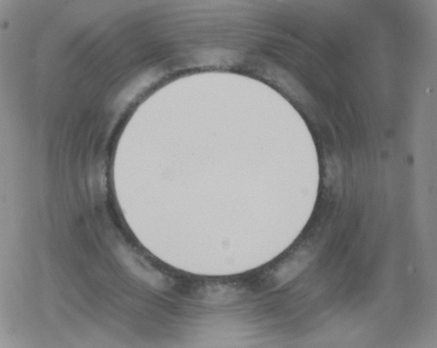 X0000079320632200612081935