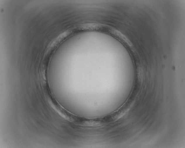 X0000079320633200612081935