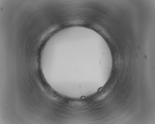 X0000079320635200612081935