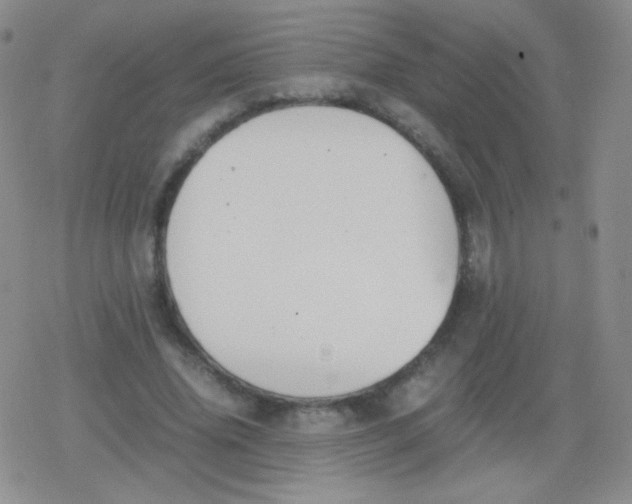 X0000079320636200612081935