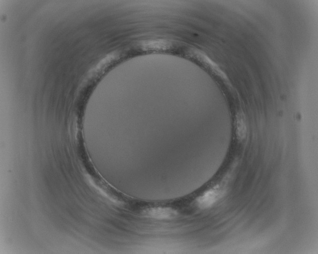 X0000079320637200612081935