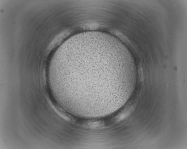 X0000079320638200612081935