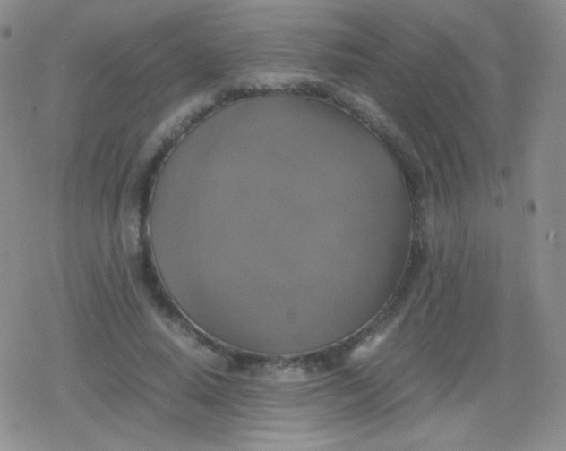 X0000079320640200612081935