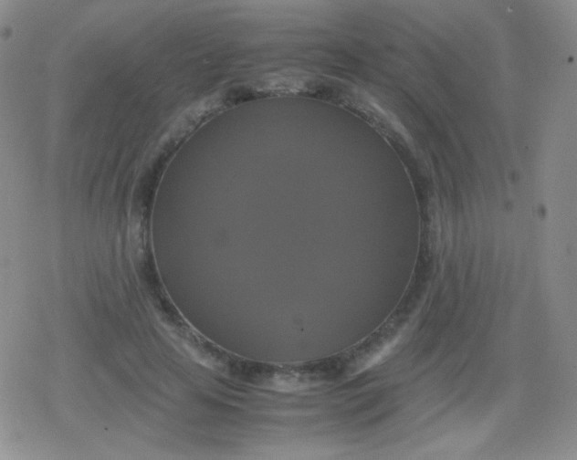 X0000079320641200612081935