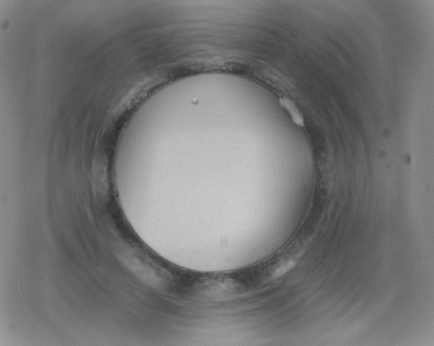 X0000079320642200612081935