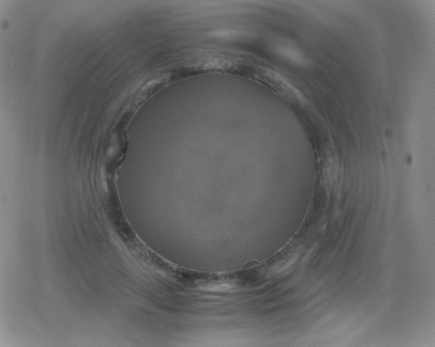 X0000079320643200612081935