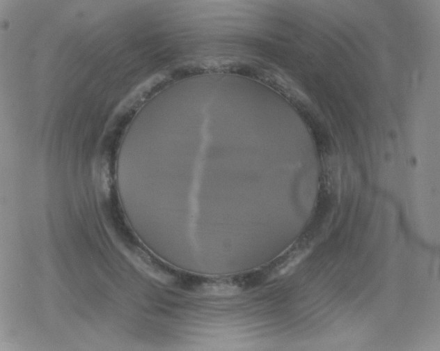 X0000079320644200612081935