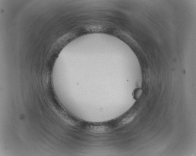 X0000079320645200612081935