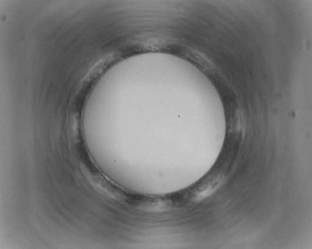 X0000079320646200612081935