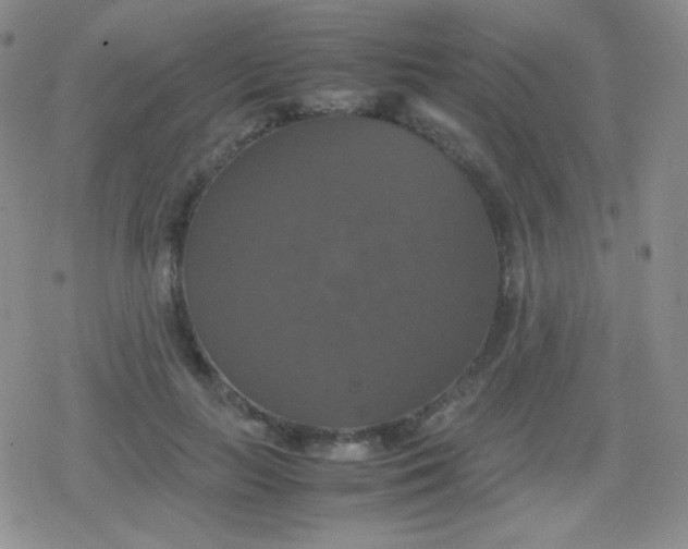 X0000079320647200612081935