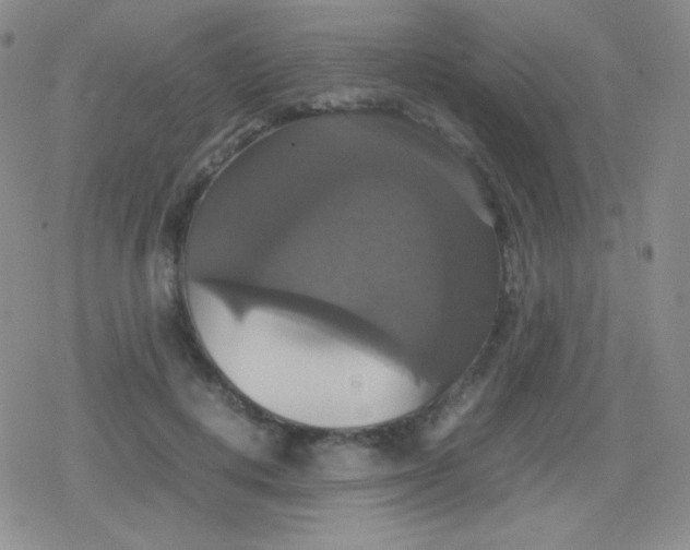 X0000079320648200612081935