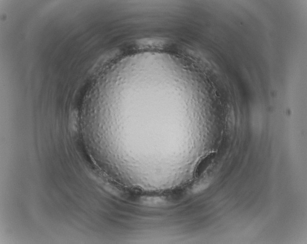 X0000079320649200612081935