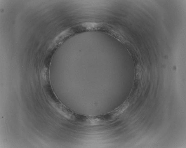 X0000079320650200612081935