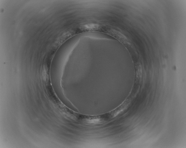 X0000079320651200612081935